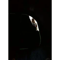 Coleman Valdes Deluxe 4xl Air Blackout Tent -Outwell || Vango || Vango Airbeam Sales Store 2000037563 16