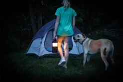 Nebo BIg Poppy RC Lantern -Outwell || Vango || Vango Airbeam Sales Store eneb6908 16 fullsize